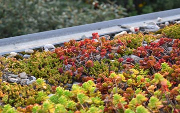 the cost of Alvecote green roof installation