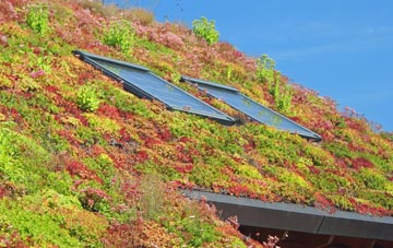 Alvecote living roof systems
